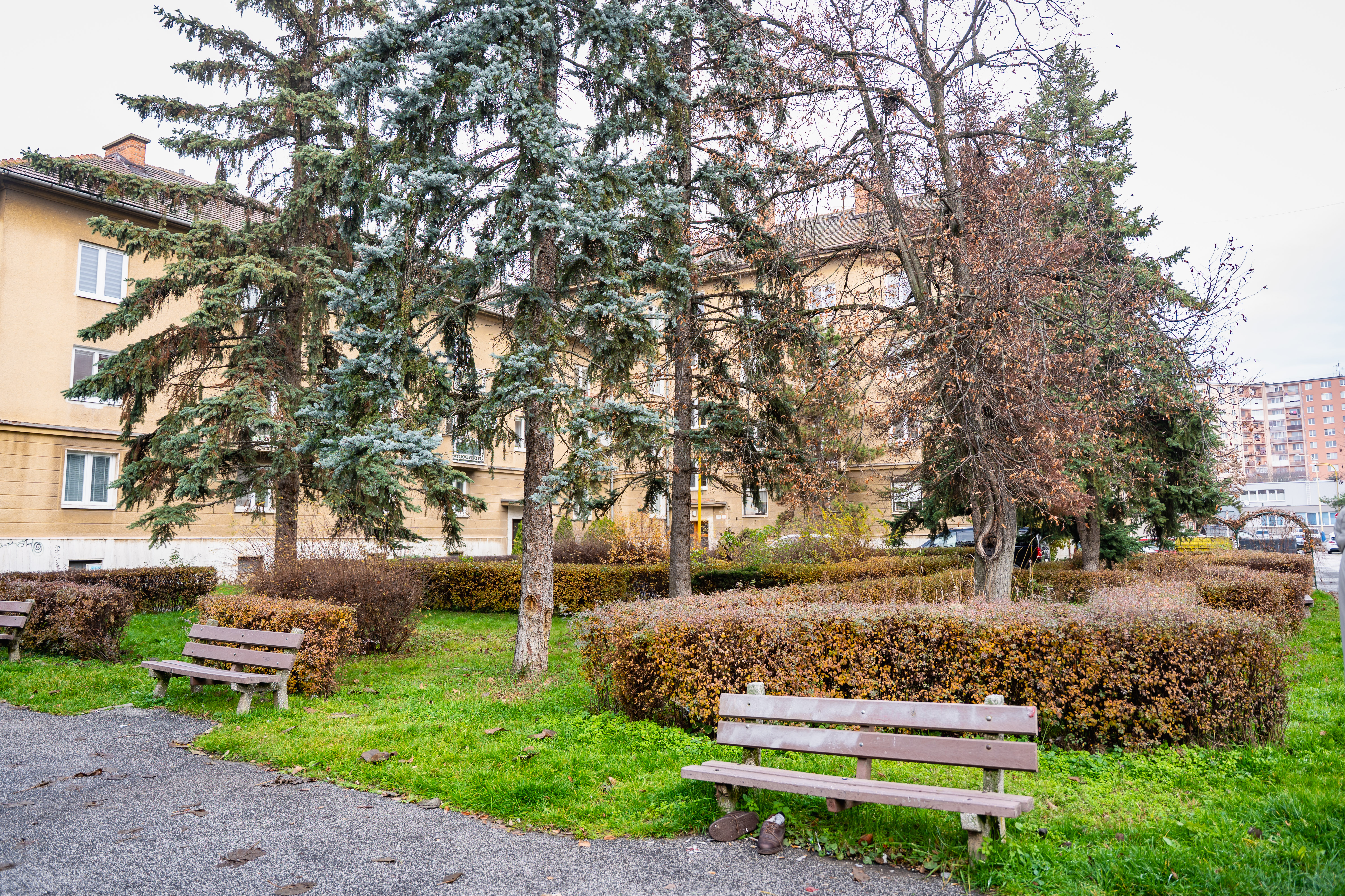 Odovzdanie staveniska - Pasteurovo nam.-25